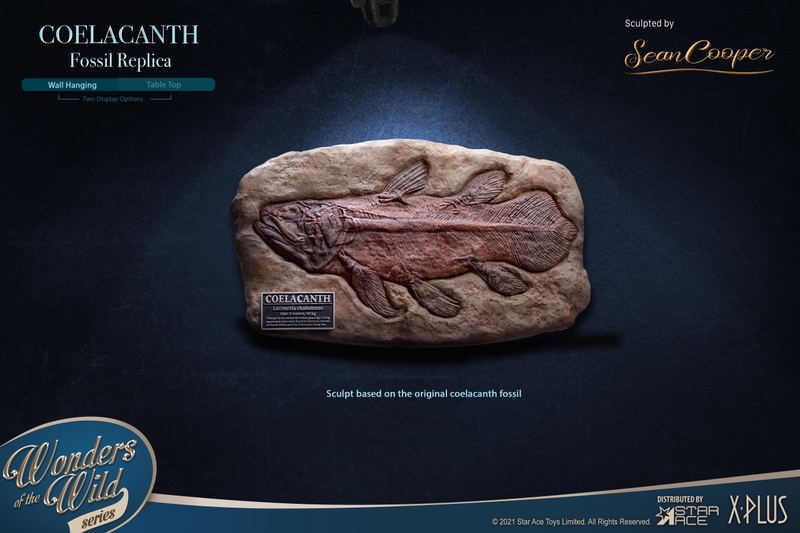 Wonders of the Wild Series: Coelacanth Fossil Replica image 4