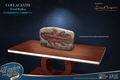 Wonders of the Wild Series: Coelacanth Fossil Replica thumbnail 5