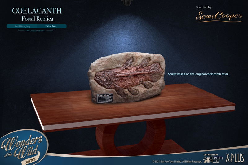 Wonders of the Wild Series: Coelacanth Fossil Replica image 6
