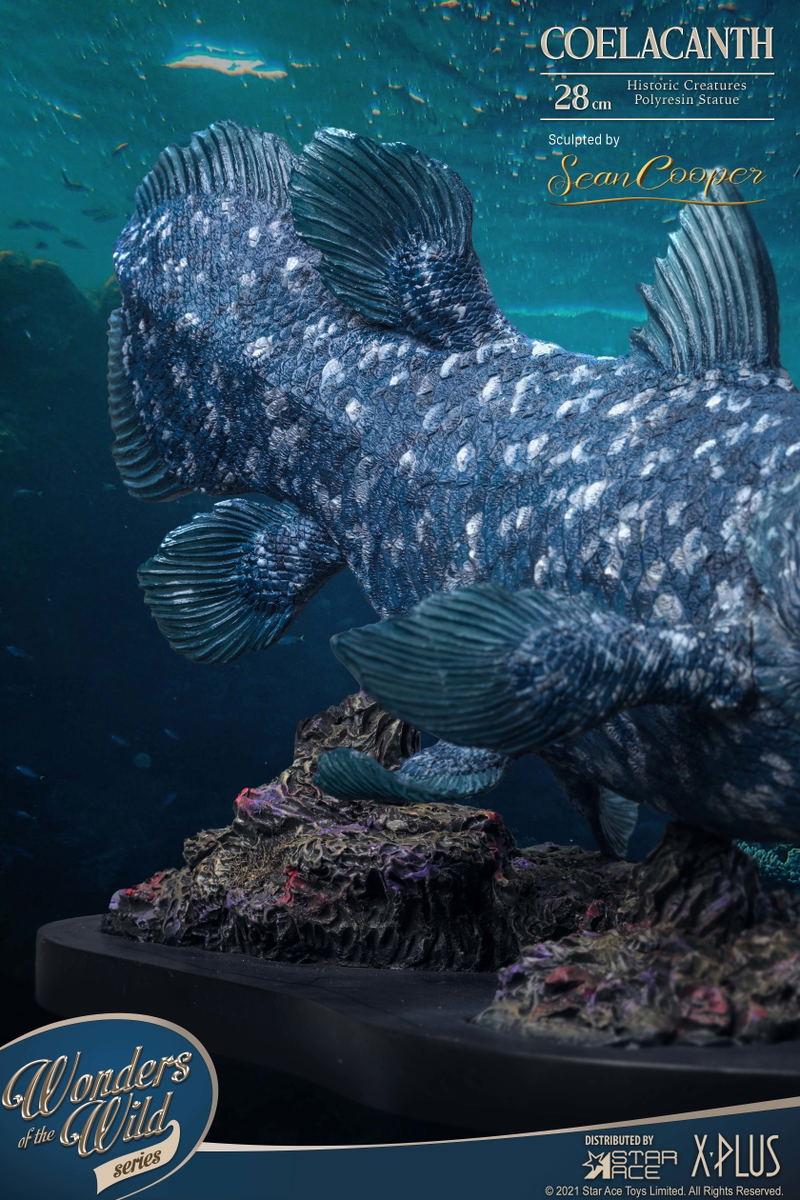 Wonders of the Wild Series: Coelacanth Polyresin Statue image 11