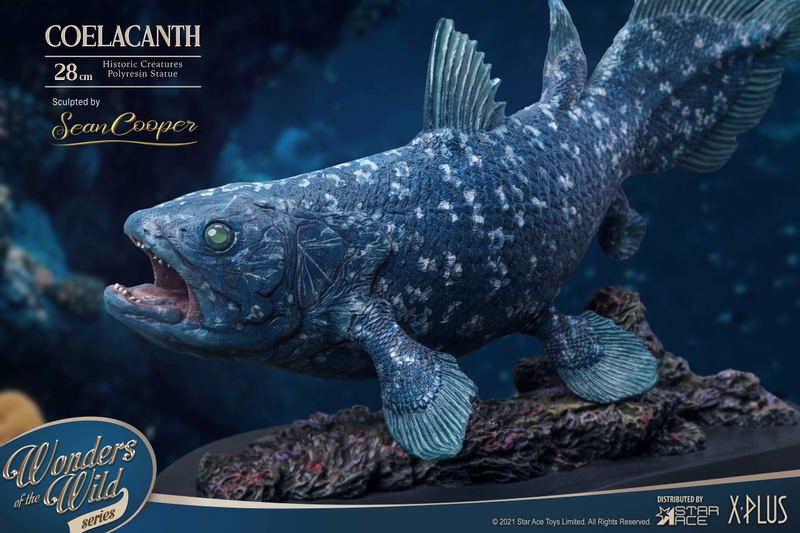 Wonders of the Wild Series: Coelacanth Polyresin Statue image 13
