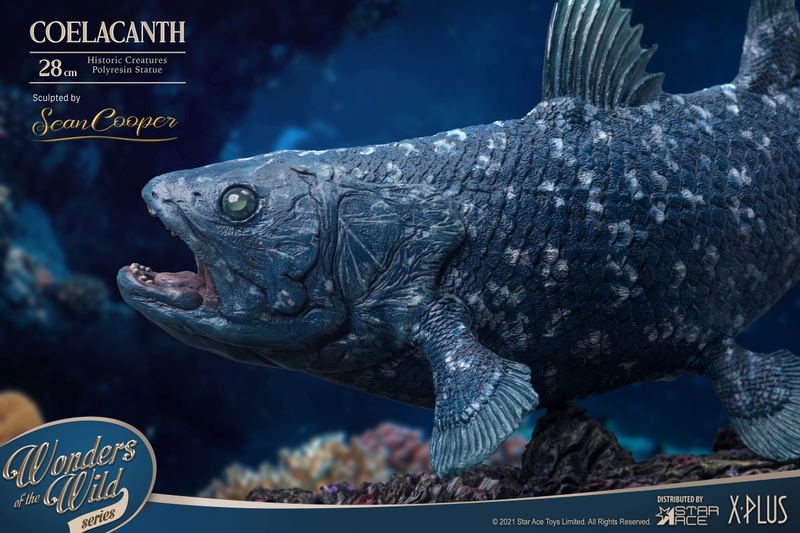 Wonders of the Wild Series: Coelacanth Polyresin Statue image 14