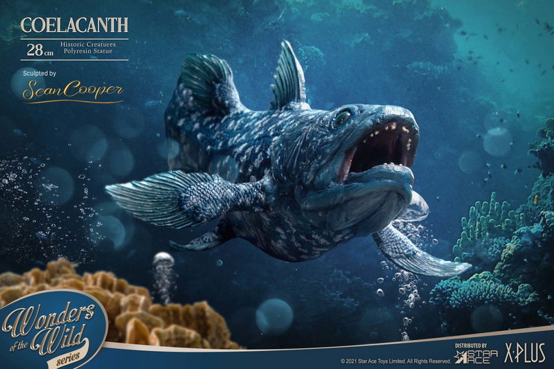 Wonders of the Wild Series: Coelacanth Polyresin Statue image 17