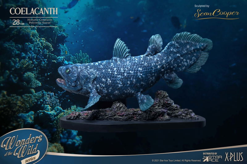 Wonders of the Wild Series: Coelacanth Polyresin Statue image 3