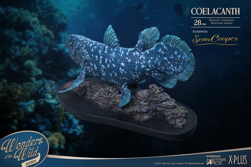 Wonders of the Wild Series: Coelacanth Polyresin Statue image 4