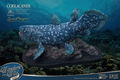 Wonders of the Wild Series: Coelacanth Polyresin Statue thumbnail 6