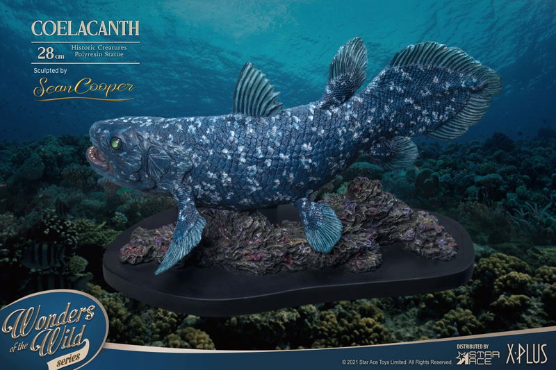 Wonders of the Wild Series: Coelacanth Polyresin Statue image 6