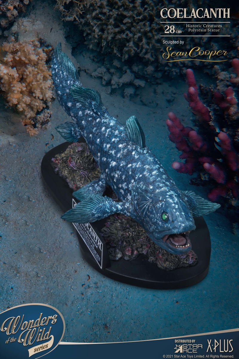 Wonders of the Wild Series: Coelacanth Polyresin Statue image 7