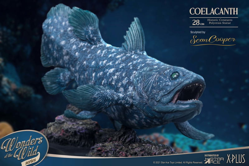 Wonders of the Wild Series: Coelacanth Polyresin Statue Deluxe Edition image 16
