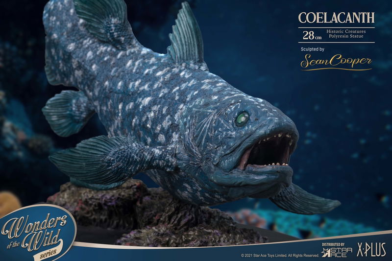Wonders of the Wild Series: Coelacanth Polyresin Statue Deluxe Edition image 19