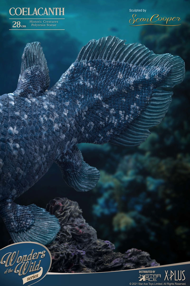 Wonders of the Wild Series: Coelacanth Polyresin Statue Deluxe Edition image 22