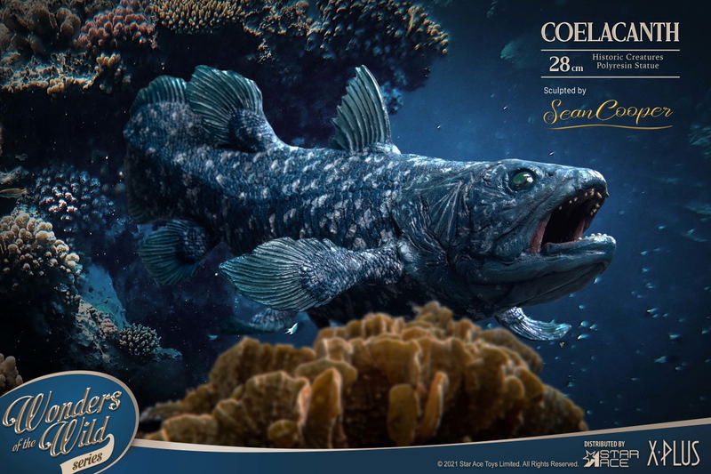 Wonders of the Wild Series: Coelacanth Polyresin Statue Deluxe Edition image 23