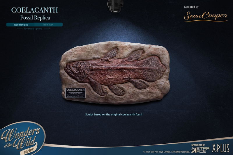 Wonders of the Wild Series: Coelacanth Polyresin Statue Deluxe Edition image 4