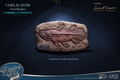 Wonders of the Wild Series: Coelacanth Polyresin Statue Deluxe Edition thumbnail 5