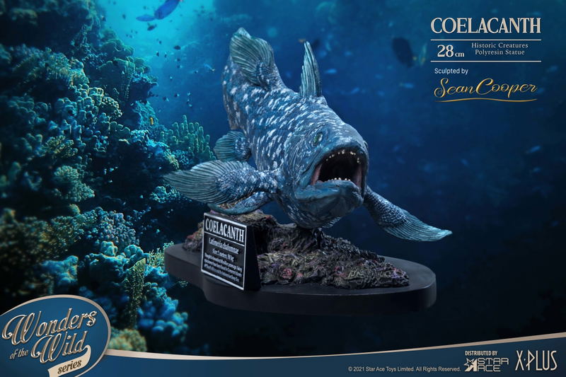 Wonders of the Wild Series: Coelacanth Polyresin Statue Deluxe Edition image 9