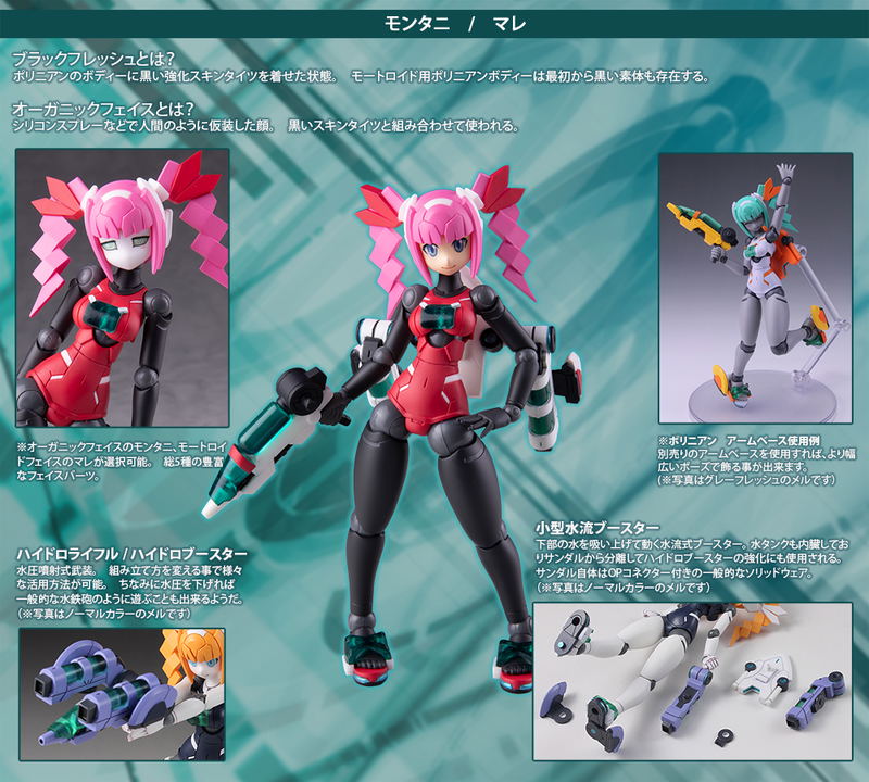 Polynian Montagne / Motoroid Mare image 12