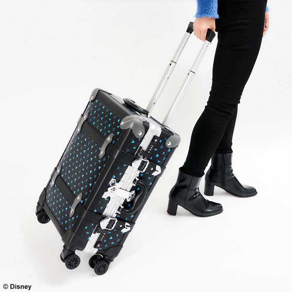 Kingdom Hearts III Trunk Case: Riku