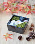 Kokeibiyori Miniature Zen Garden thumbnail 5