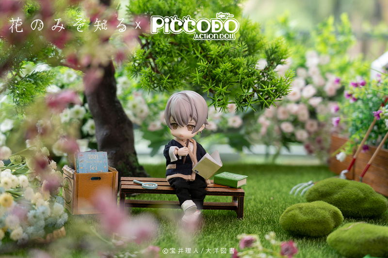 Piccodo Only the Flower Knows Deformed Doll: Shouta Misaki image 10