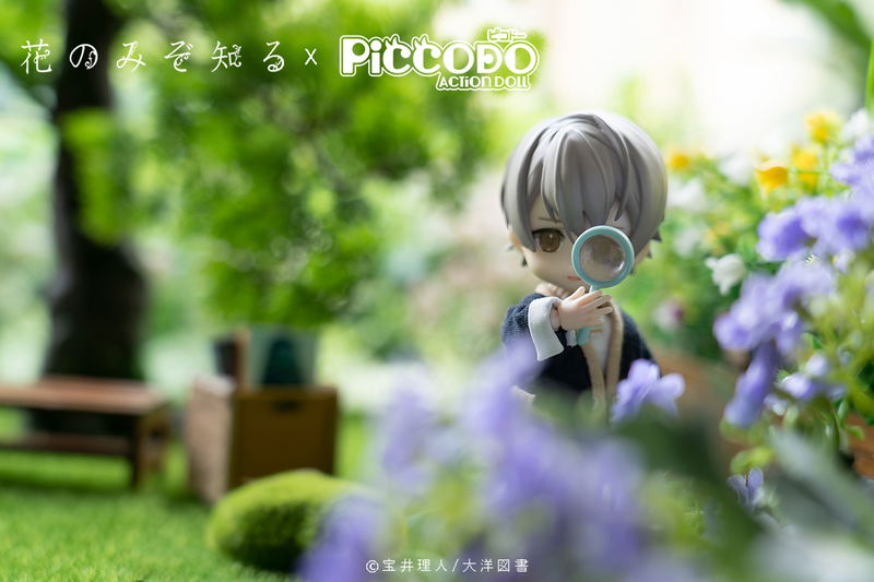Piccodo Only the Flower Knows Deformed Doll: Shouta Misaki image 8