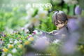 Piccodo Only the Flower Knows Deformed Doll: Youichi Arikawa thumbnail 12