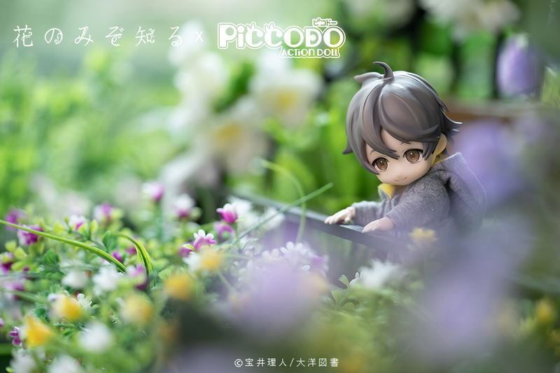 Piccodo Only the Flower Knows Deformed Doll: Youichi Arikawa image 12