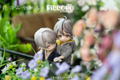 Piccodo Only the Flower Knows Deformed Doll: Youichi Arikawa thumbnail 14
