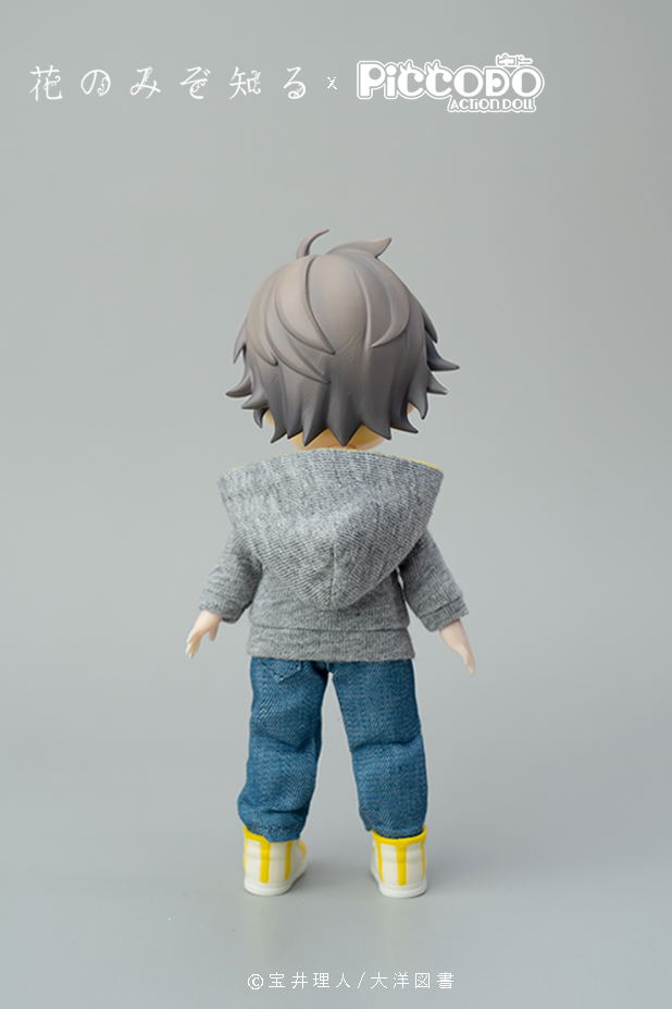 Piccodo Only the Flower Knows Deformed Doll: Youichi Arikawa image 2