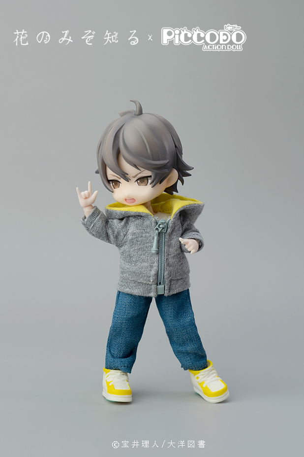 Piccodo Only the Flower Knows Deformed Doll: Youichi Arikawa image 3