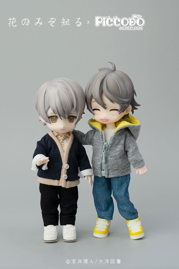 Piccodo Only the Flower Knows Deformed Doll: Youichi Arikawa image 5