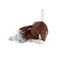 Love Live! Nijigasaki High School Idol Club Nesoberi Plush: Shizuku Osaka Love U my friends (S) thumbnail 3