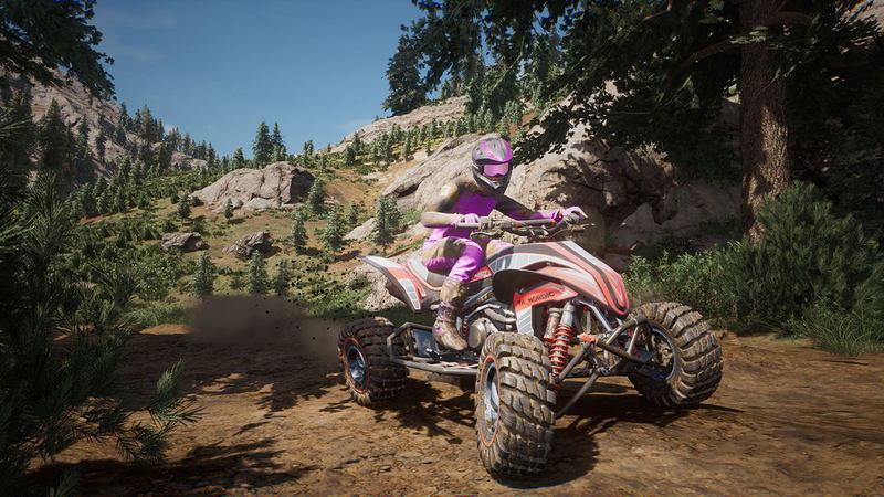 MX vs ATV Legends image 3