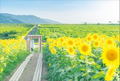 Yukari Mitsuya Photo Book Gensou Hana Sekai thumbnail 7