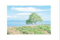 Yukari Mitsuya Photo Book Gensou Hana Sekai thumbnail 9
