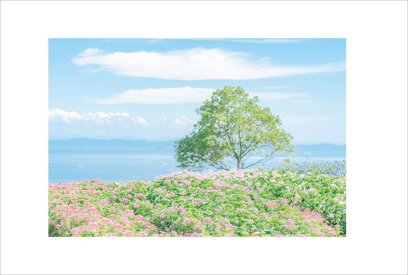 Yukari Mitsuya Photo Book Gensou Hana Sekai image 9