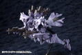Muv Luv Alternative Total Eclipse Plastic Model Kit: Su-37UB Terminator (Re-run) thumbnail 11
