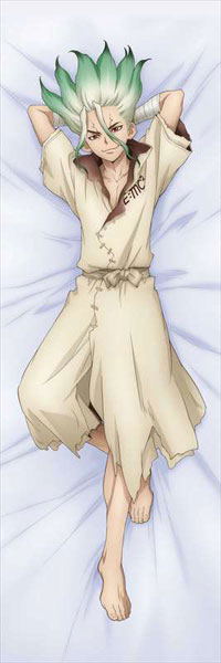 Dr. Stone Original Illustration 2-Way Tricot Dakimakura Cover: Senku Ishigami image 1