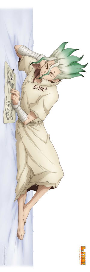 Dr. Stone Original Illustration 2-Way Tricot Dakimakura Cover: Senku Ishigami