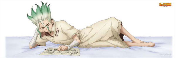 Dr. Stone Original Illustration Smooth Dakimakura Cover: Senku Ishigami image 3