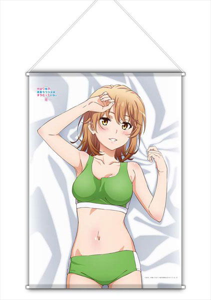 My Teen Romantic Comedy SNAFU Climax! Original Illustration B2 Wall Scroll: Iroha (Sportswear) image 1