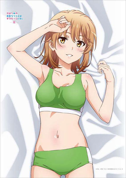 My Teen Romantic Comedy SNAFU Climax! Original Illustration B2 Wall Scroll: Iroha (Sportswear) image 2