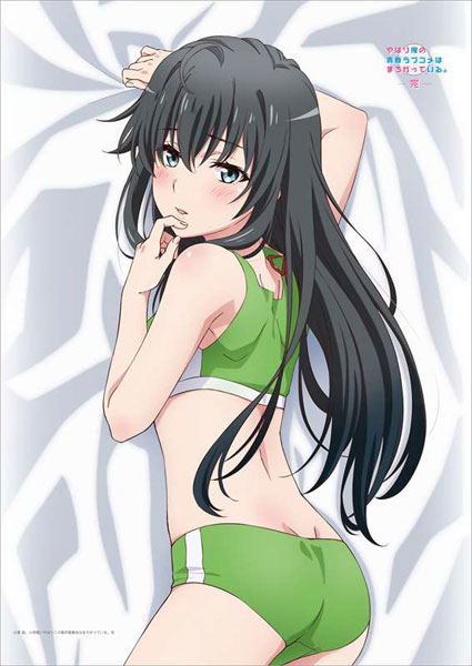 My Teen Romantic Comedy SNAFU Climax! Original Illustration B2 Wall Scroll: Yukino (Sportswear) image 2