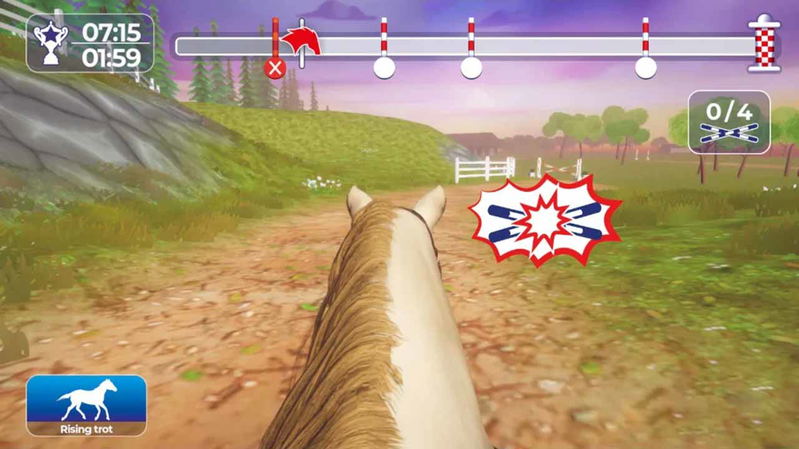 Equestrian Training image 4