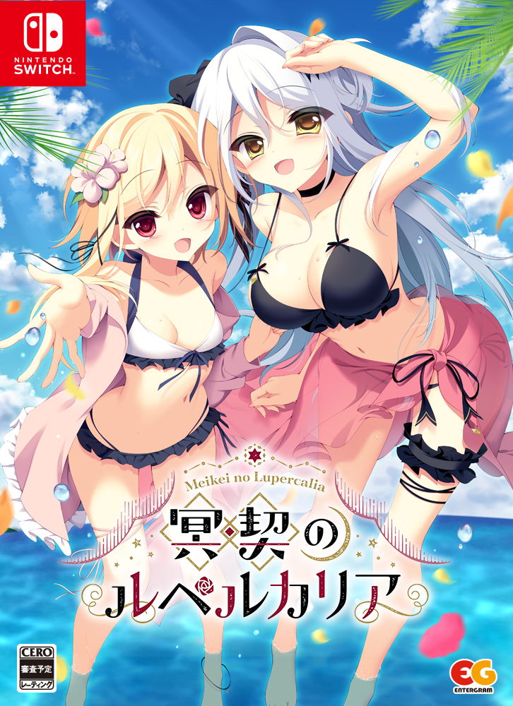 Meikei no Lupercalia [Limited Edition] image 2