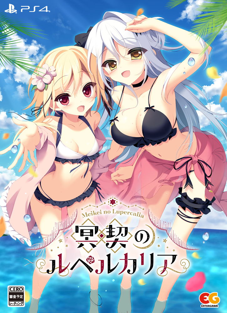 Meikei no Lupercalia [Limited Edition] image 2