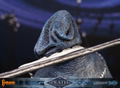 Castlevania Symphony of the Night Resin Painted Statue: Death [Standard Edition] thumbnail 28
