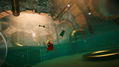 I Am Fish <span class="ext" style="background-color: #2a475e; color: #FFFFFF;">STEAM</span> <span class="ext ext_digital">digital</span> thumbnail 4