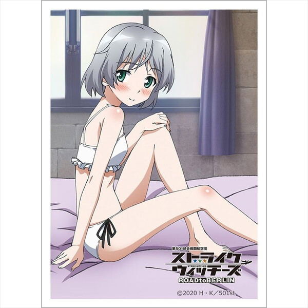 501st Joint Fighter Wing - Strike Witches: Road to Berlin Sleeve: Sanya V. Litvyak image 1