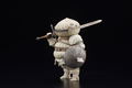 Q Collection Dark Souls: Siegmeyer of Catarina thumbnail 4
