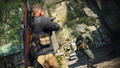 Sniper Elite 5 [Deluxe Edition] thumbnail 10